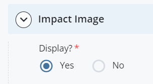 screenshot showing Impact Image Display checked 'Yes'