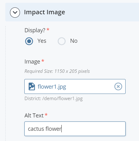 screenshot showing Display as 'Yes'; flower1.jpg file selected and Alt Text 'cactus flower' entered