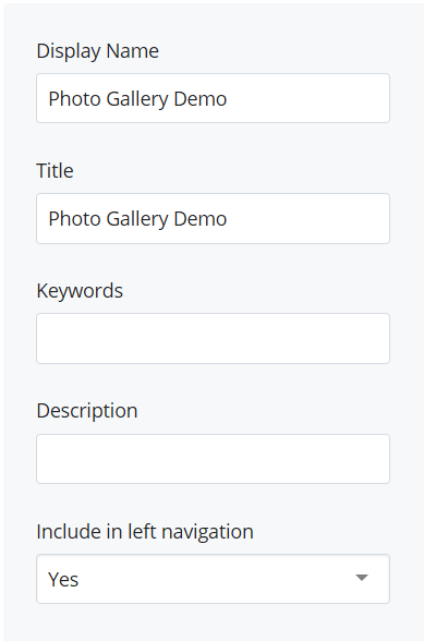 screenshot of fields: Display Name, Page Title, Keywords, Description, and Include in left navigation