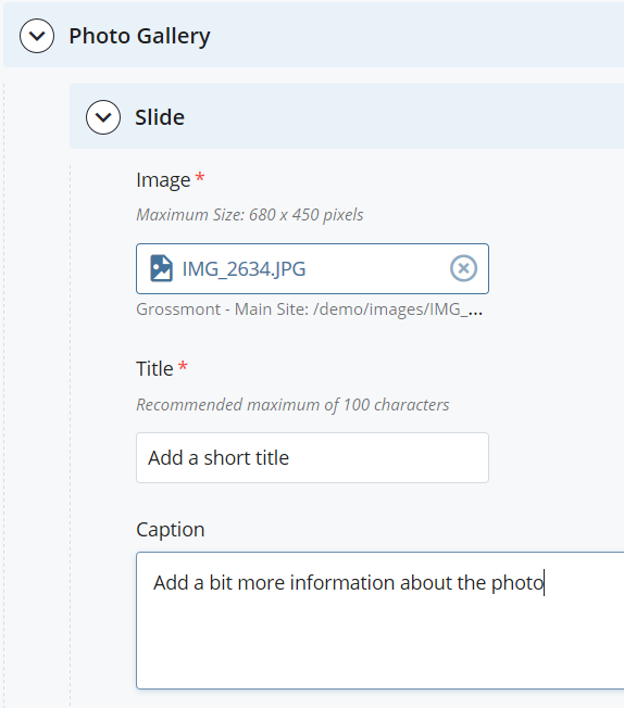 screenshot of Slide Title and Caption fields