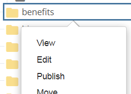 screenshot of folder context menu that includes typical options such as View, Edit, Publish, etc. 