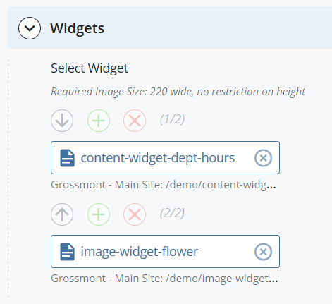 screenshot of the Widgets window with two widgets added